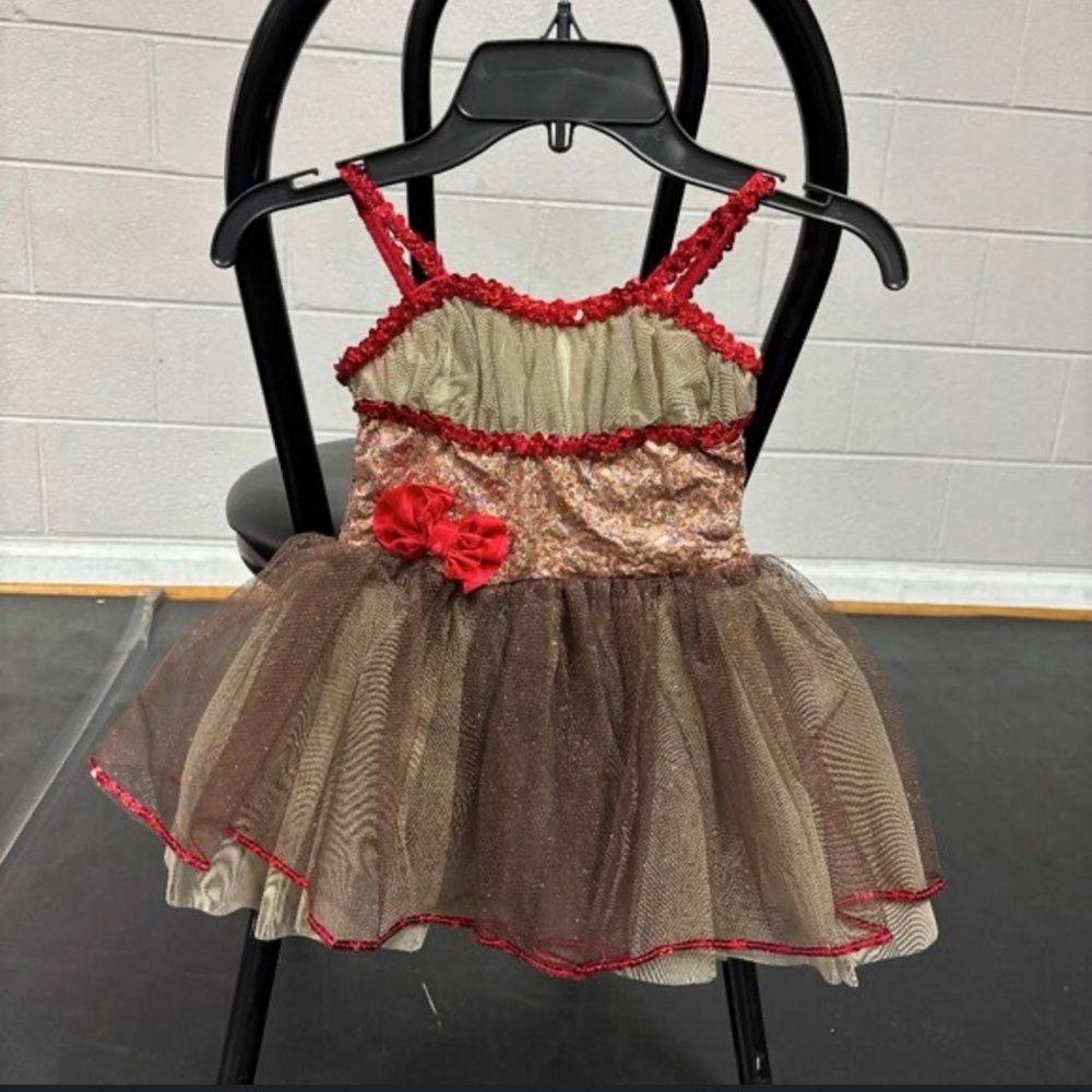 Charming Red and Brown Kids Costume Dress